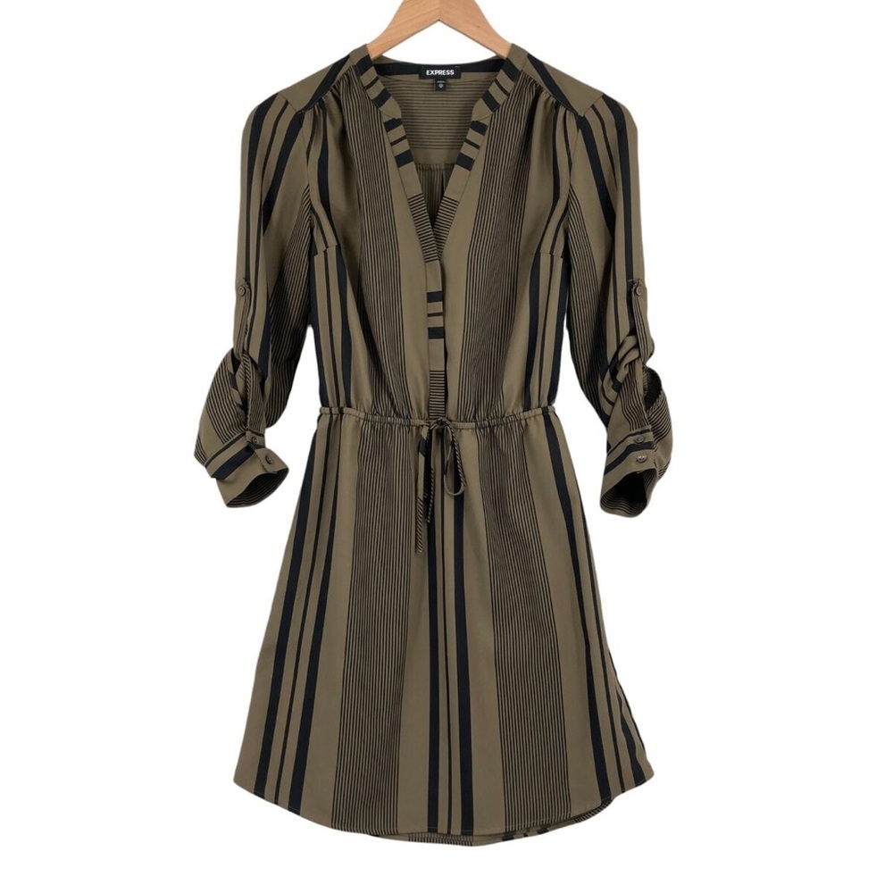 NWT Express Work dress